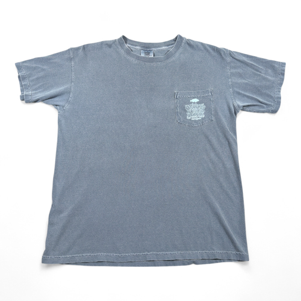 Original Oyster House Shirt Adult MEDIUM Blue Fish Comfort Colors Alabama Y2K - Picture 2 of 7